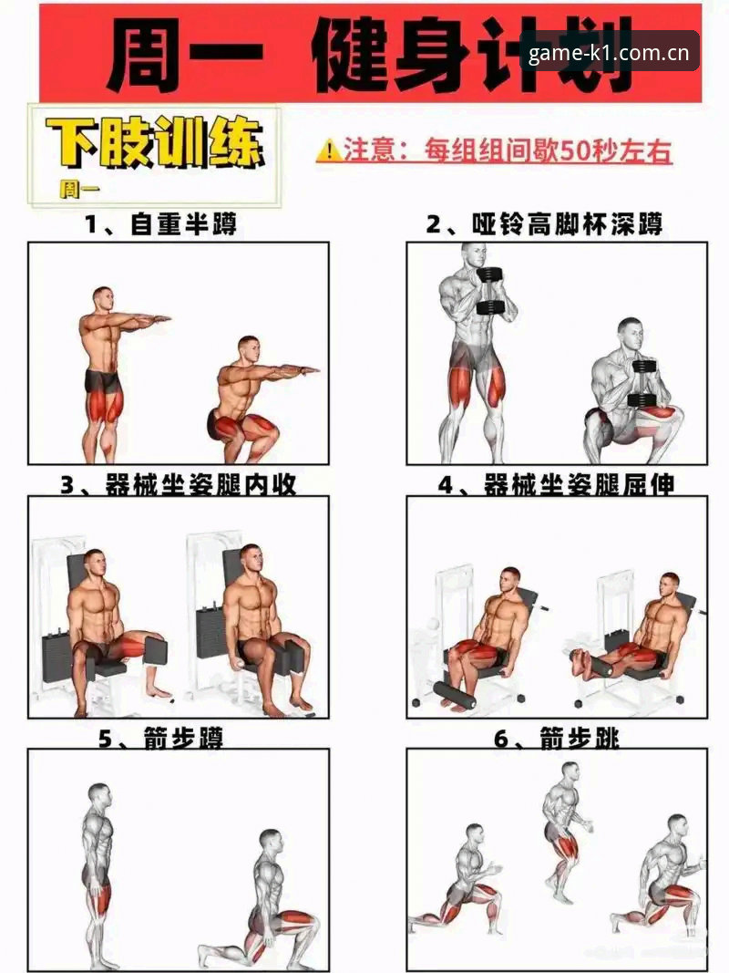 K1体育最新版本怎么样？新手该如何快速上手使用？