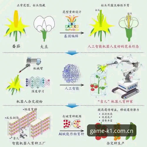 K1体育用户体验 5个突破性体验升级:K1体育平台如何重塑沉浸式观赛与投注新标准